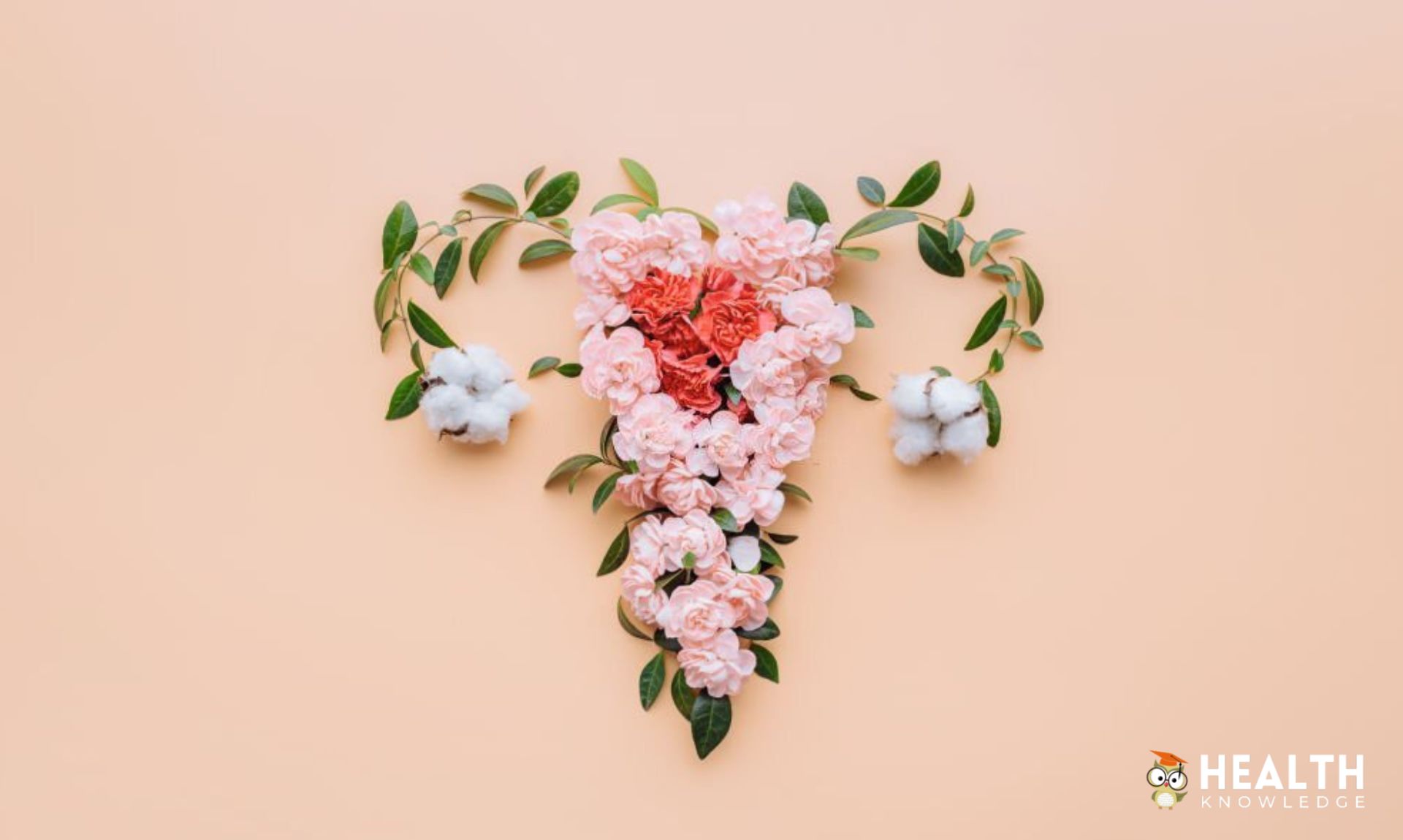 Understanding Menstrual Health