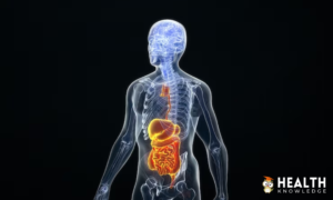 Understanding Digestive Health and Gut Impacts Overall